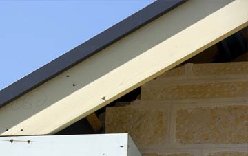 Imber fascia repairs