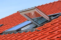 Imber roof window